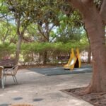 Desayuno con torta de chocolate y fresas en los Jardines del Turia de Valencia