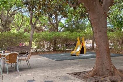 Desayuno con torta de chocolate y fresas en los Jardines del Turia de Valencia